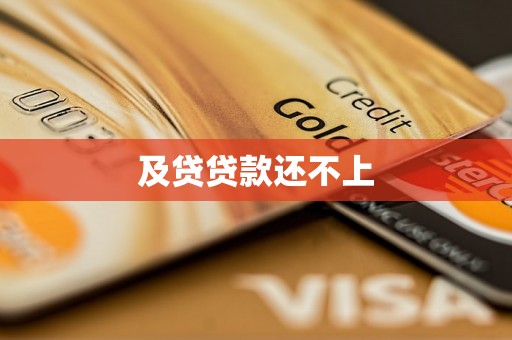 及贷贷款还不上