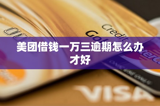 美团借钱一万三逾期怎么办才好