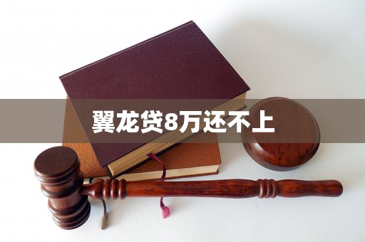翼龙贷8万还不上