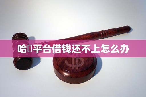 哈啰平台借钱还不上怎么办