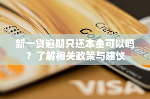 新一贷逾期只还本金可以吗？了解相关政策与建议