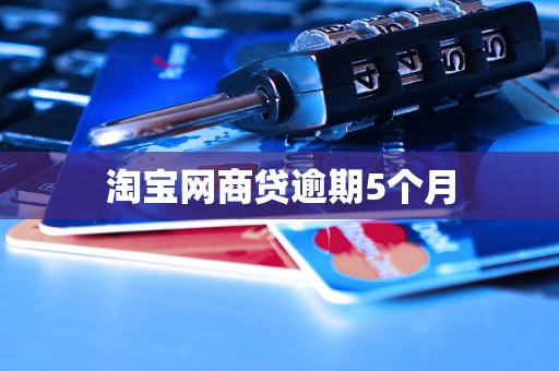 淘宝网商贷逾期5个月 淘宝网商贷逾期5个月