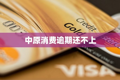 中原消费逾期还不上 中原消费逾期还不上