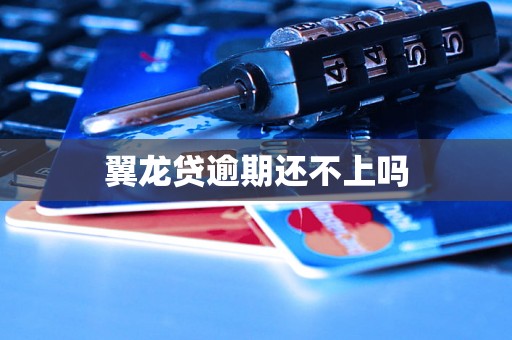 翼龙贷逾期还不上吗 翼龙贷逾期还不上吗