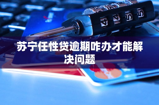 苏宁任性贷逾期咋办才能解决问题