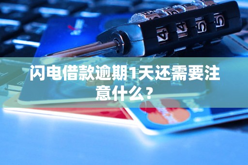 闪电借款逾期1天还需要注意什么？