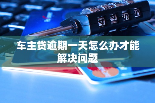 车主贷逾期一天怎么办才能解决问题