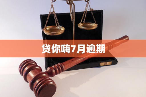 贷你嗨7月逾期 贷你嗨7月逾期
