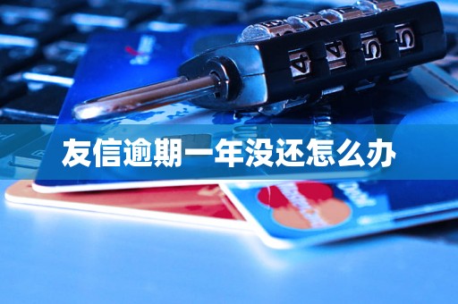 友信逾期一年没还怎么办