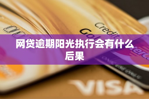 网贷逾期阳光执行会有什么后果