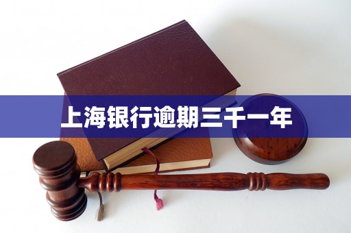 上海银行逾期三千一年