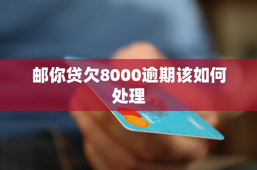 邮你贷欠8000逾期该如何处理