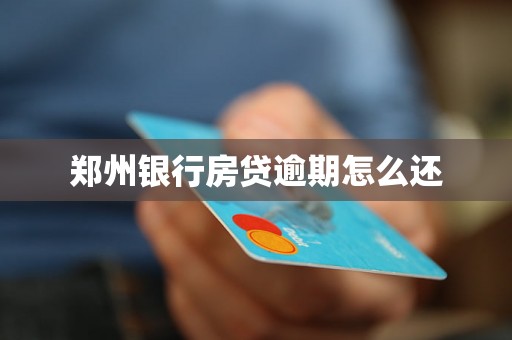 郑州银行房贷逾期怎么还