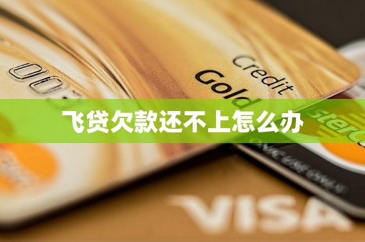 飞贷欠款还不上怎么办 飞贷欠款还不上怎么办