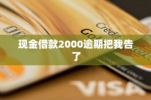 现金借款2000逾期把我告了