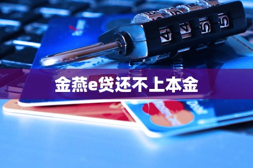 金燕e贷还不上本金 金燕e贷还不上本金