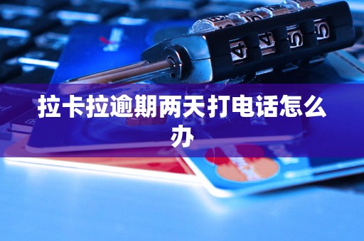 拉卡拉逾期两天打电话怎么办