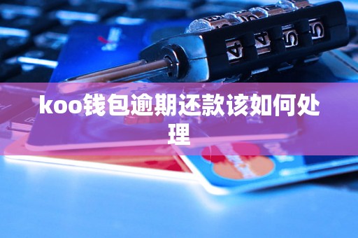 koo钱包逾期还款该如何处理 koo钱包逾期还款该如何处理
