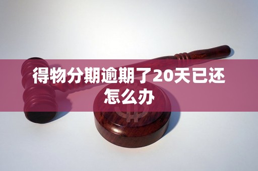 得物分期逾期了20天已还怎么办