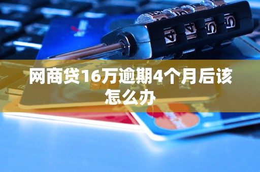 网商贷16万逾期4个月后该怎么办 网商贷16万逾期4个月后该怎么办