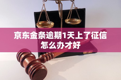 京东金条逾期1天上了征信怎么办才好
