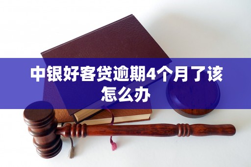 中银好客贷逾期4个月了该怎么办