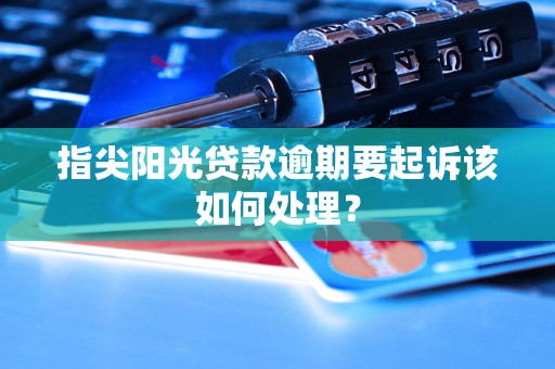 指尖阳光贷款逾期要起诉该如何处理? 指尖阳光贷款逾期要起诉该如何处理?