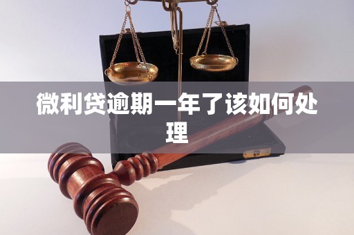 微利贷逾期一年了该如何处理