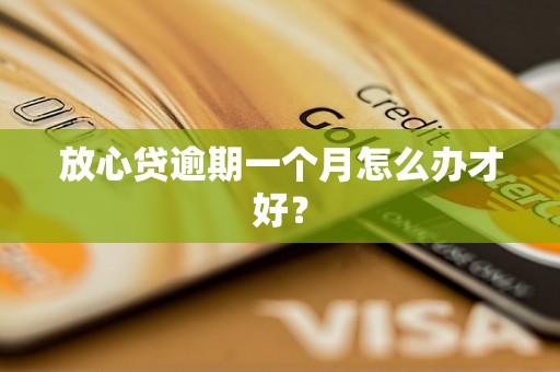 放心贷逾期一个月怎么办才好？