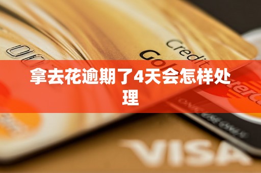 拿去花逾期了4天会怎样处理