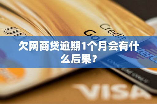欠网商贷逾期1个月会有什么后果？