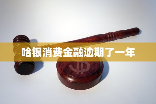 哈銀消費(fèi)金融逾期了一年