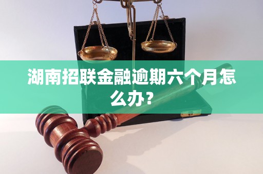 湖南招联金融逾期六个月怎么办？