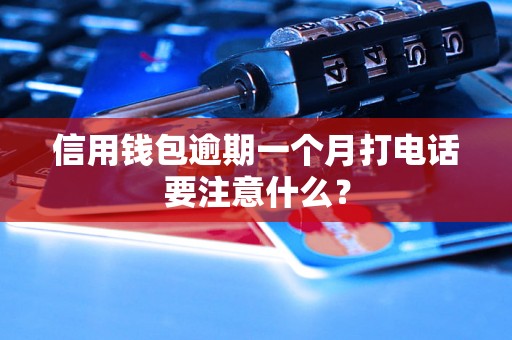 信用钱包逾期一个月打电话要注意什么？