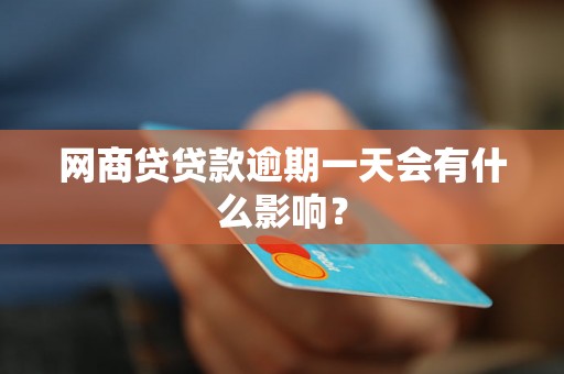 网商贷贷款逾期一天会有什么影响？