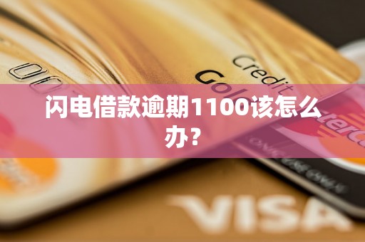 闪电借款逾期1100该怎么办? 闪电借款逾期1100该怎么办?