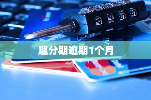 趣分期逾期1个月
