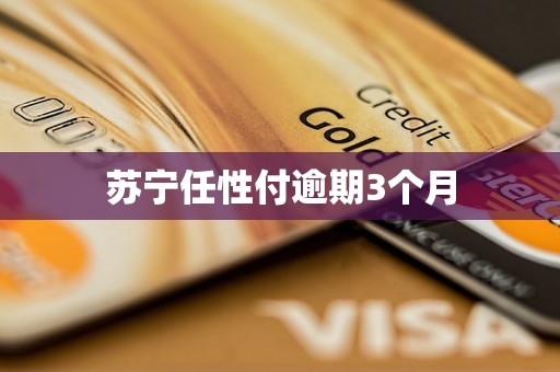 苏宁任性付逾期3个月