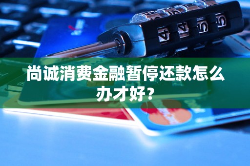 尚诚消费金融暂停还款怎么办才好？