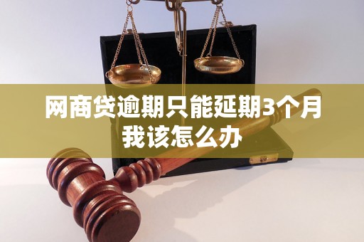 网商贷逾期只能延期3个月我该怎么办