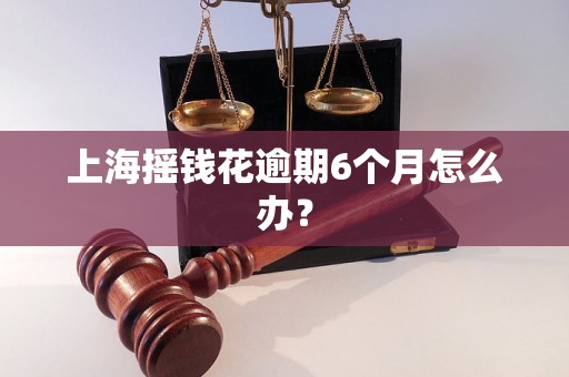 上海摇钱花逾期6个月怎么办？
