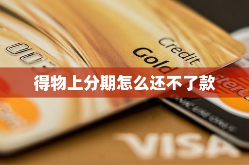 得物上分期怎么还不了款