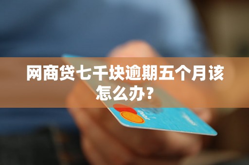 网商贷七千块逾期五个月该怎么办？