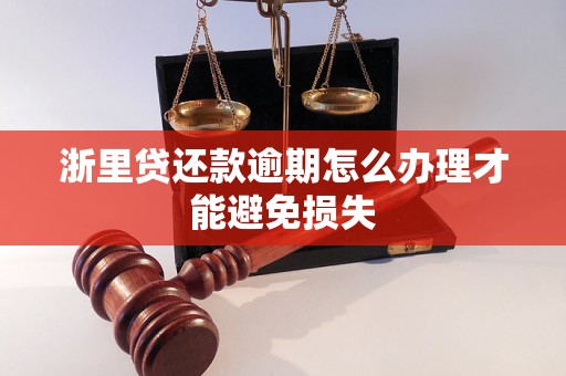 浙里贷还款逾期怎么办理才能避免损失