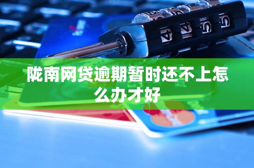 陇南网贷逾期暂时还不上怎么办才好