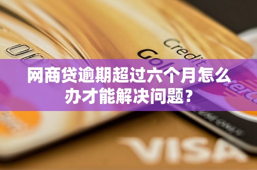网商贷逾期超过六个月怎么办才能解决问题？