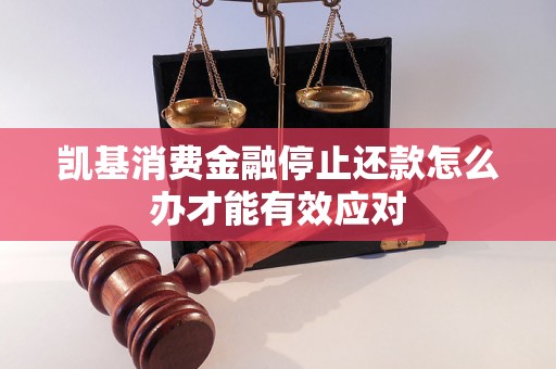 凯基消费金融停止还款怎么办才能有效应对