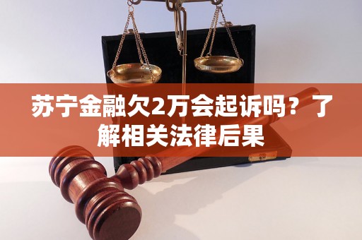 苏宁金融欠2万会起诉吗？了解相关法律后果