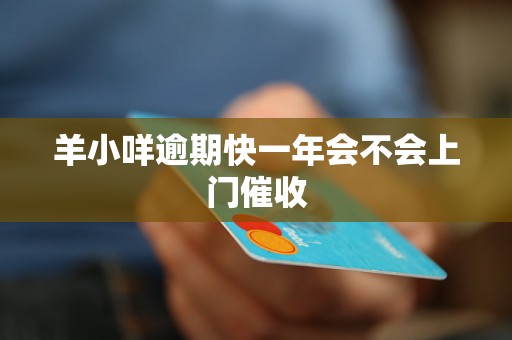 羊小咩逾期快一年会不会上门催收