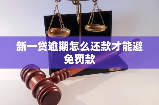 新一贷逾期怎么还款才能避免罚款